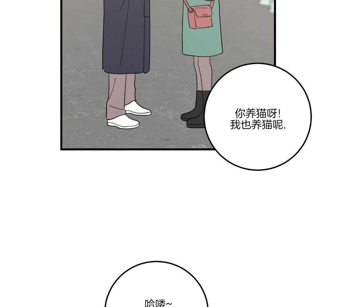 《我唯一的猫猫》漫画最新章节第57话免费下拉式在线观看章节第【28】张图片