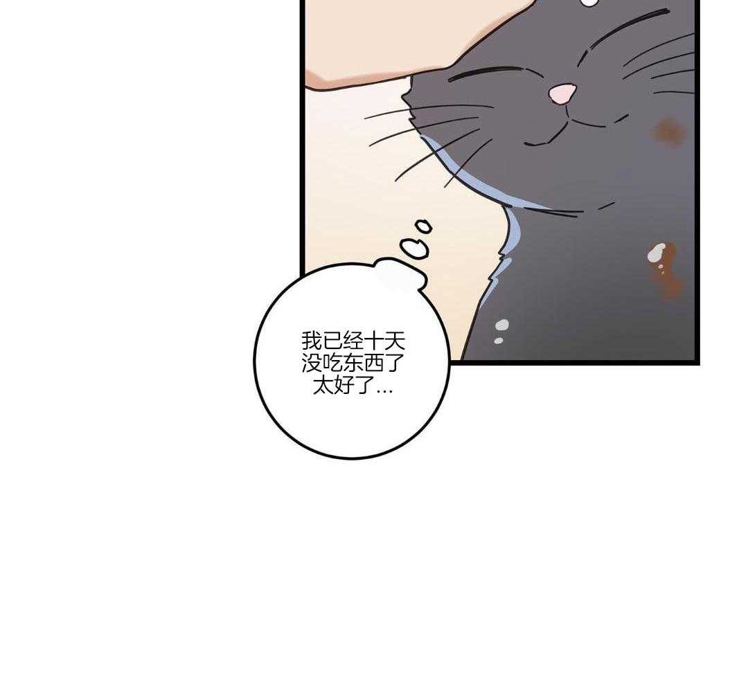 《我唯一的猫猫》漫画最新章节第35话免费下拉式在线观看章节第【14】张图片