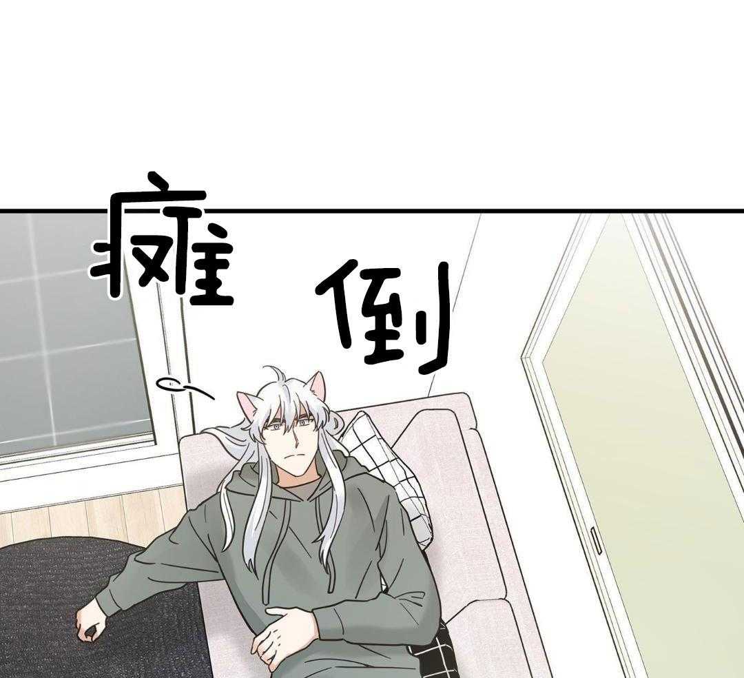 《我唯一的猫猫》漫画最新章节第54话免费下拉式在线观看章节第【9】张图片