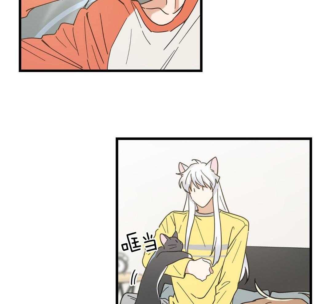 《我唯一的猫猫》漫画最新章节第45话免费下拉式在线观看章节第【26】张图片