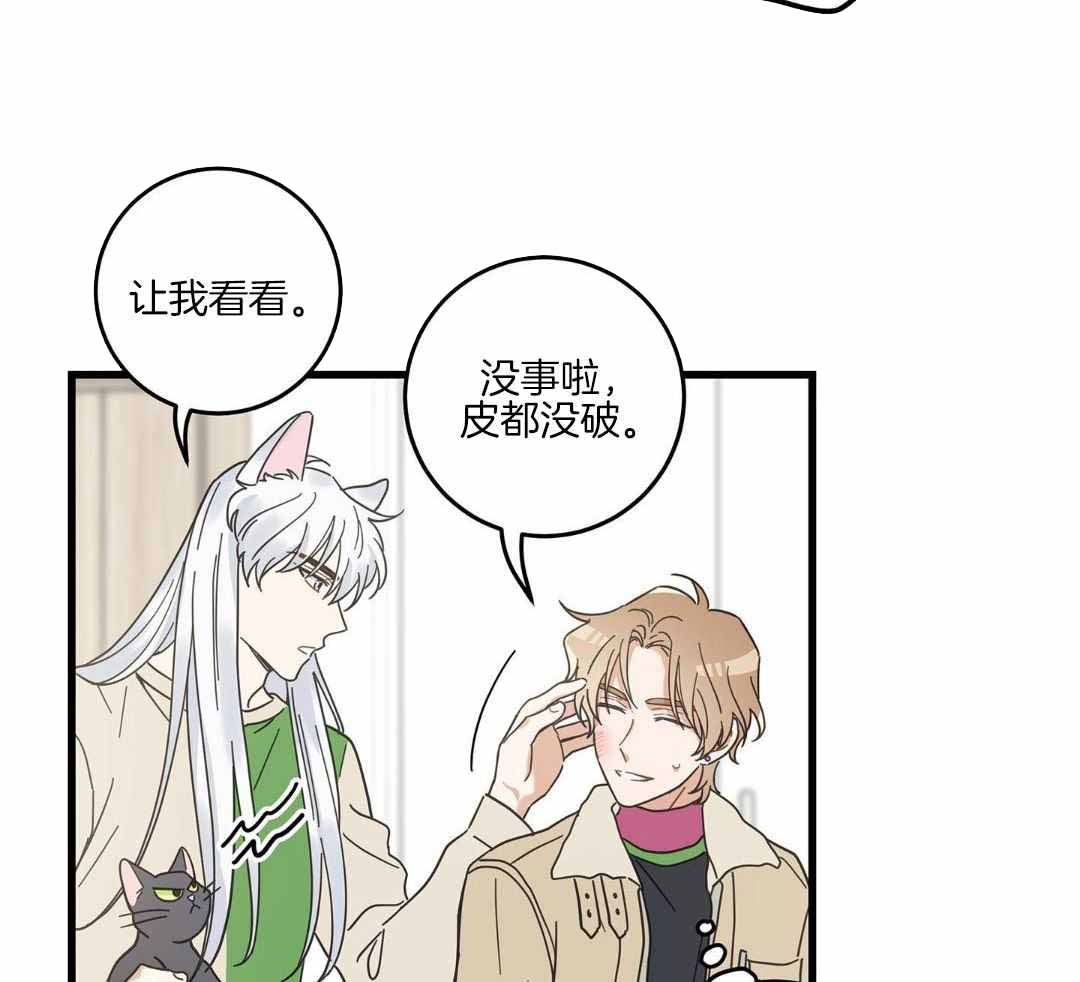 《我唯一的猫猫》漫画最新章节第43话免费下拉式在线观看章节第【32】张图片