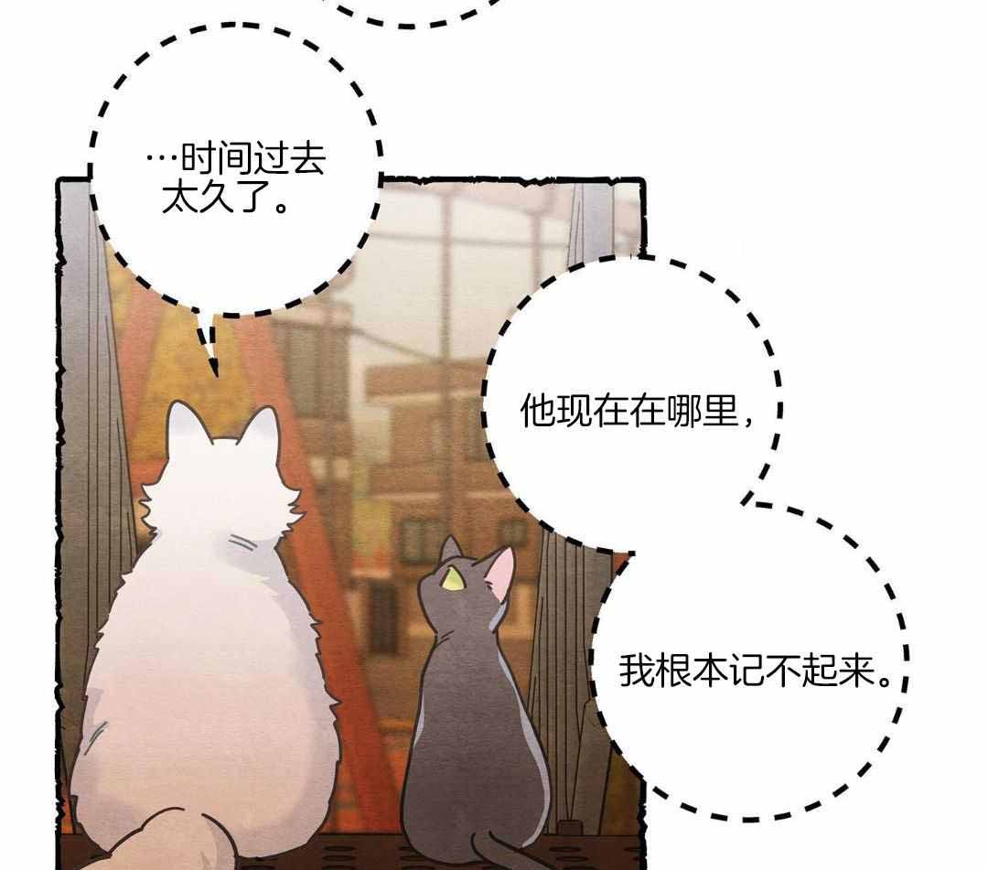 《我唯一的猫猫》漫画最新章节第41话免费下拉式在线观看章节第【17】张图片