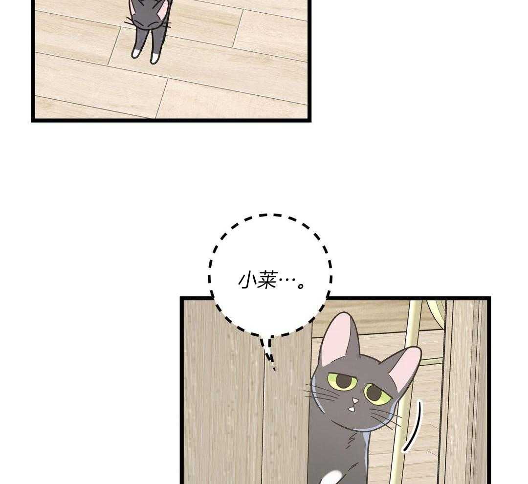 《我唯一的猫猫》漫画最新章节第43话免费下拉式在线观看章节第【4】张图片