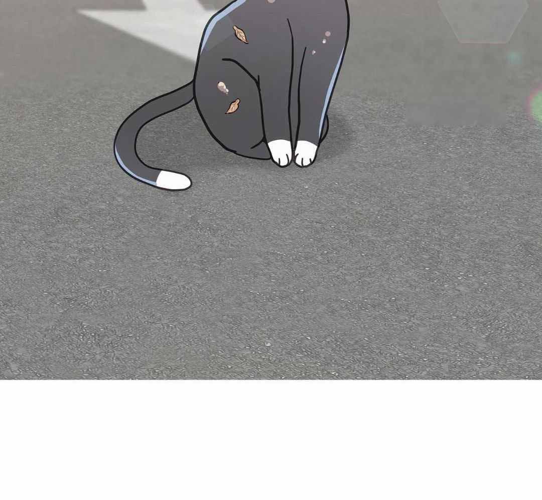 《我唯一的猫猫》漫画最新章节第32话免费下拉式在线观看章节第【25】张图片