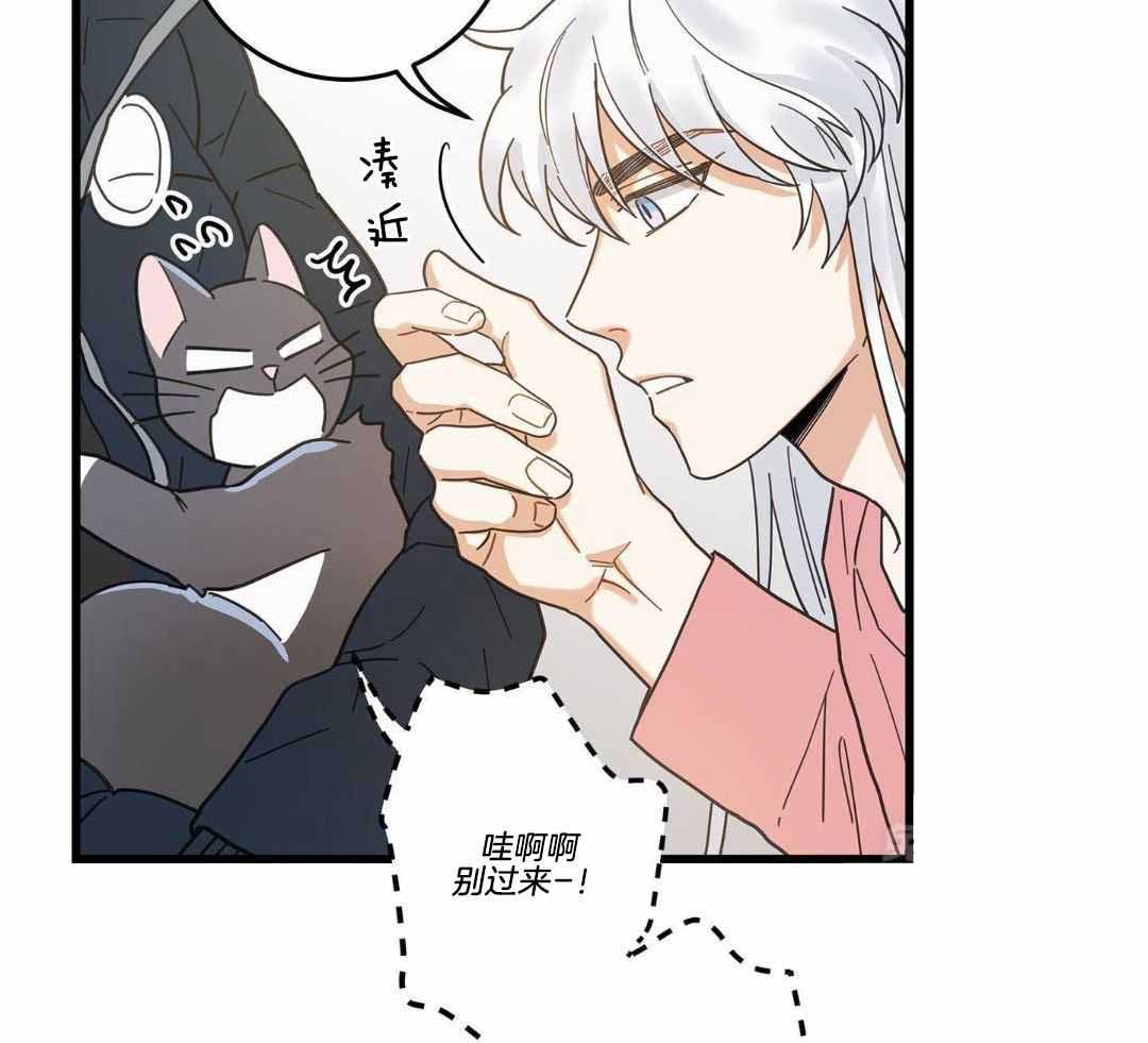 《我唯一的猫猫》漫画最新章节第39话免费下拉式在线观看章节第【32】张图片