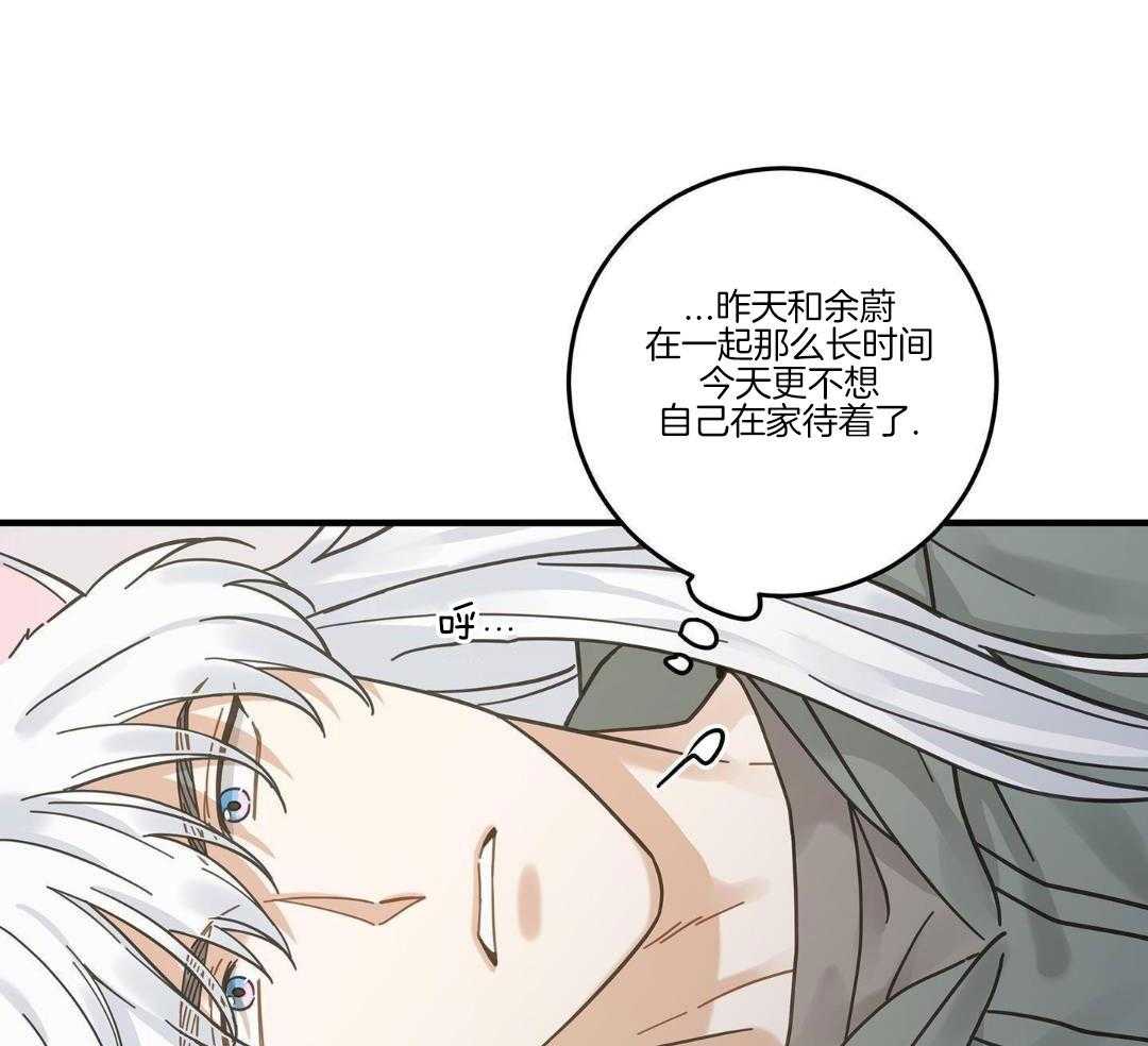 《我唯一的猫猫》漫画最新章节第54话免费下拉式在线观看章节第【11】张图片