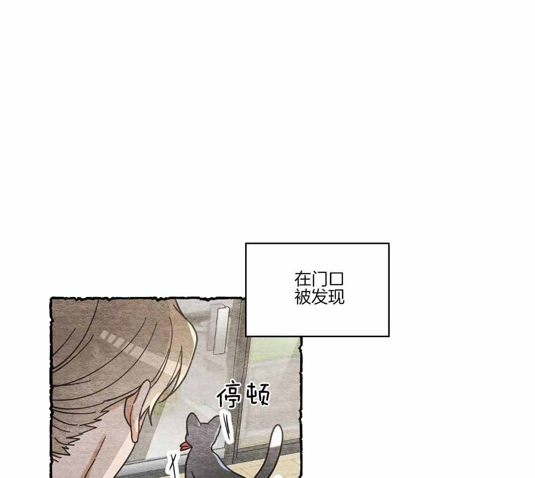 《我唯一的猫猫》漫画最新章节第56话免费下拉式在线观看章节第【37】张图片