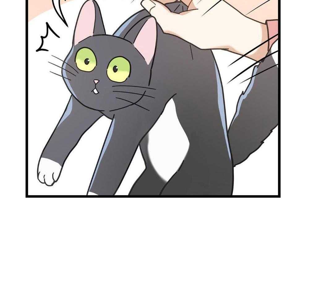 《我唯一的猫猫》漫画最新章节第39话免费下拉式在线观看章节第【16】张图片