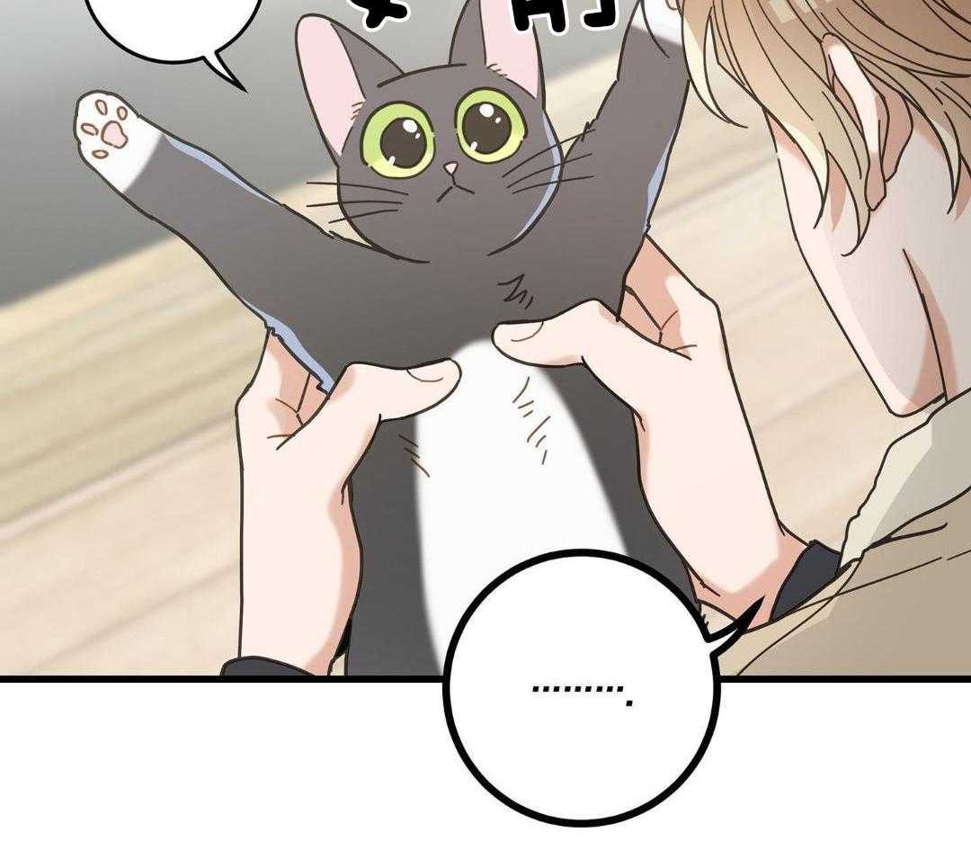 《我唯一的猫猫》漫画最新章节第45话免费下拉式在线观看章节第【15】张图片