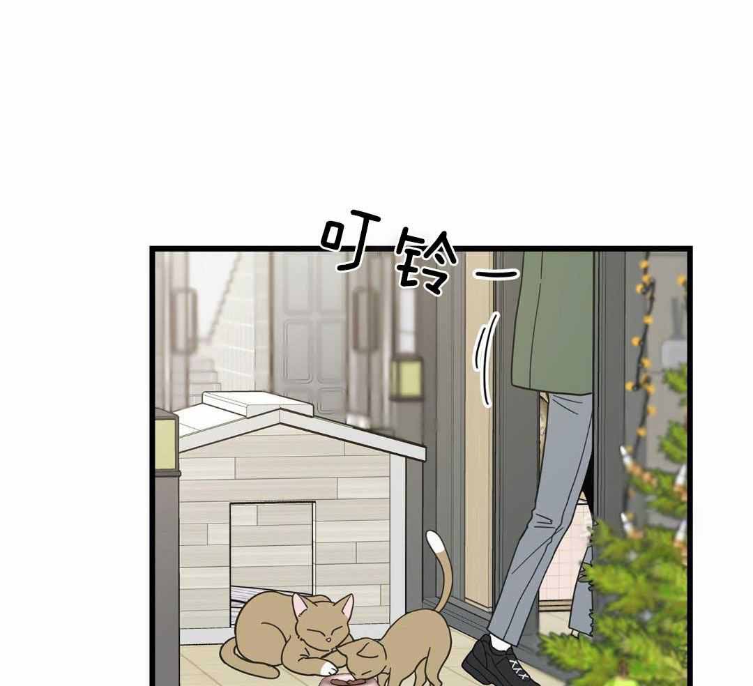 《我唯一的猫猫》漫画最新章节第33话免费下拉式在线观看章节第【22】张图片