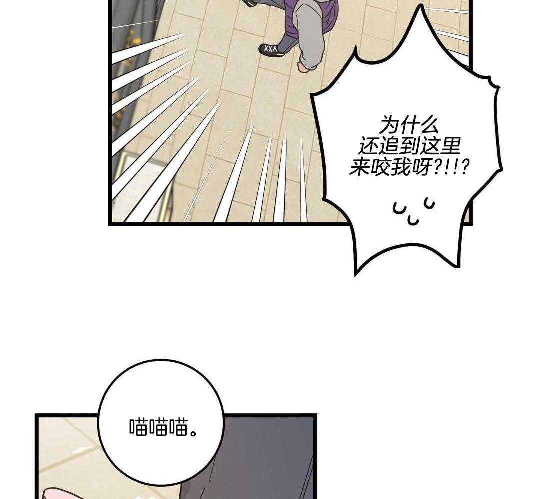 《我唯一的猫猫》漫画最新章节第47话免费下拉式在线观看章节第【9】张图片