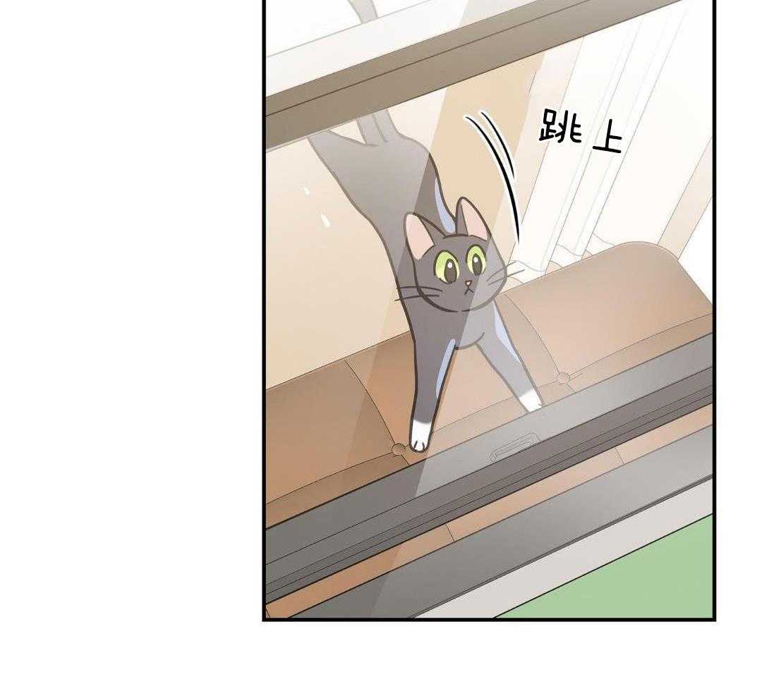 《我唯一的猫猫》漫画最新章节第47话免费下拉式在线观看章节第【46】张图片