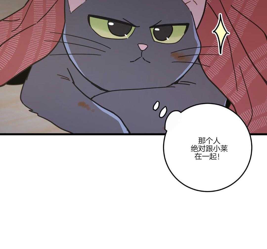 《我唯一的猫猫》漫画最新章节第37话免费下拉式在线观看章节第【21】张图片