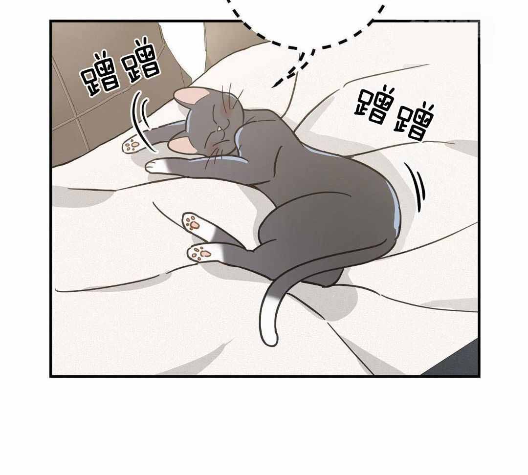 《我唯一的猫猫》漫画最新章节第47话免费下拉式在线观看章节第【55】张图片