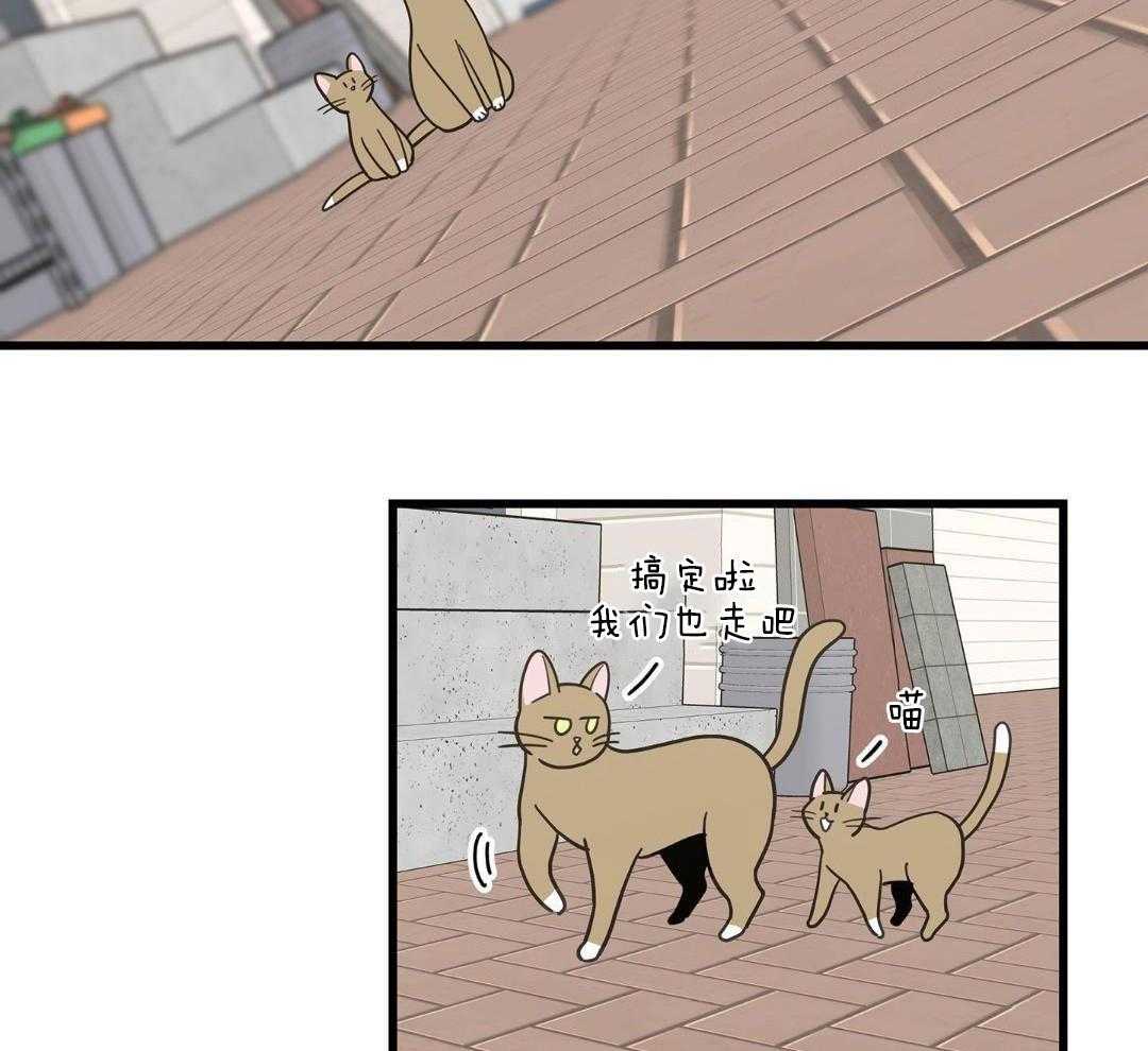 《我唯一的猫猫》漫画最新章节第34话免费下拉式在线观看章节第【31】张图片