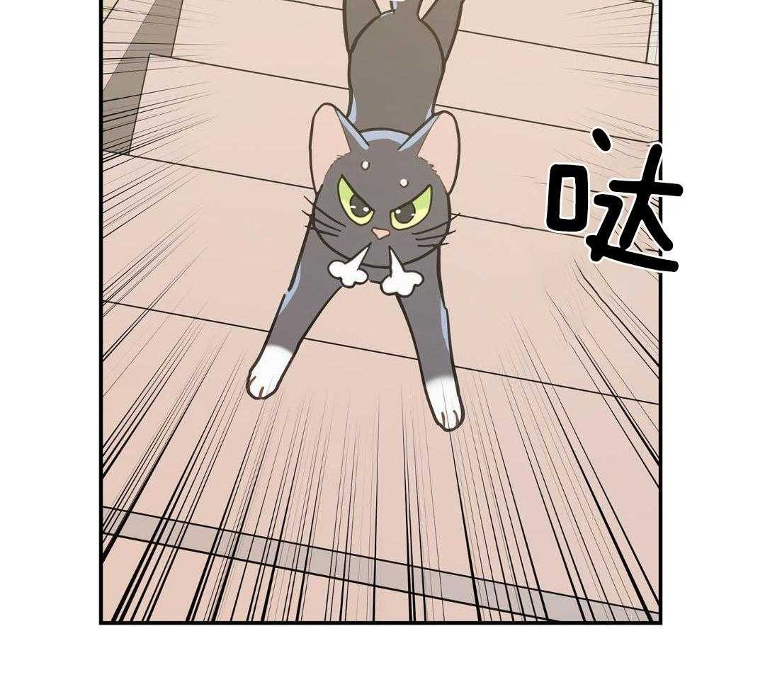 《我唯一的猫猫》漫画最新章节第47话免费下拉式在线观看章节第【40】张图片