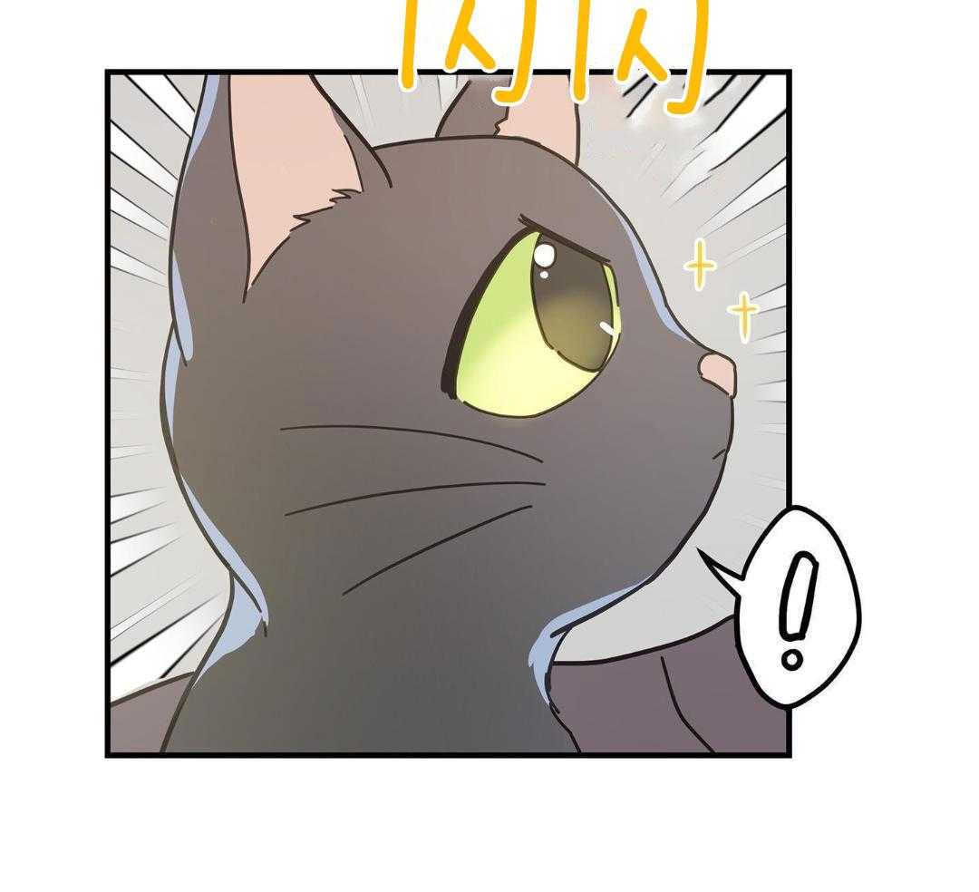 《我唯一的猫猫》漫画最新章节第54话免费下拉式在线观看章节第【3】张图片