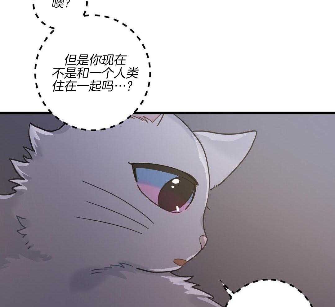 《我唯一的猫猫》漫画最新章节第42话免费下拉式在线观看章节第【15】张图片