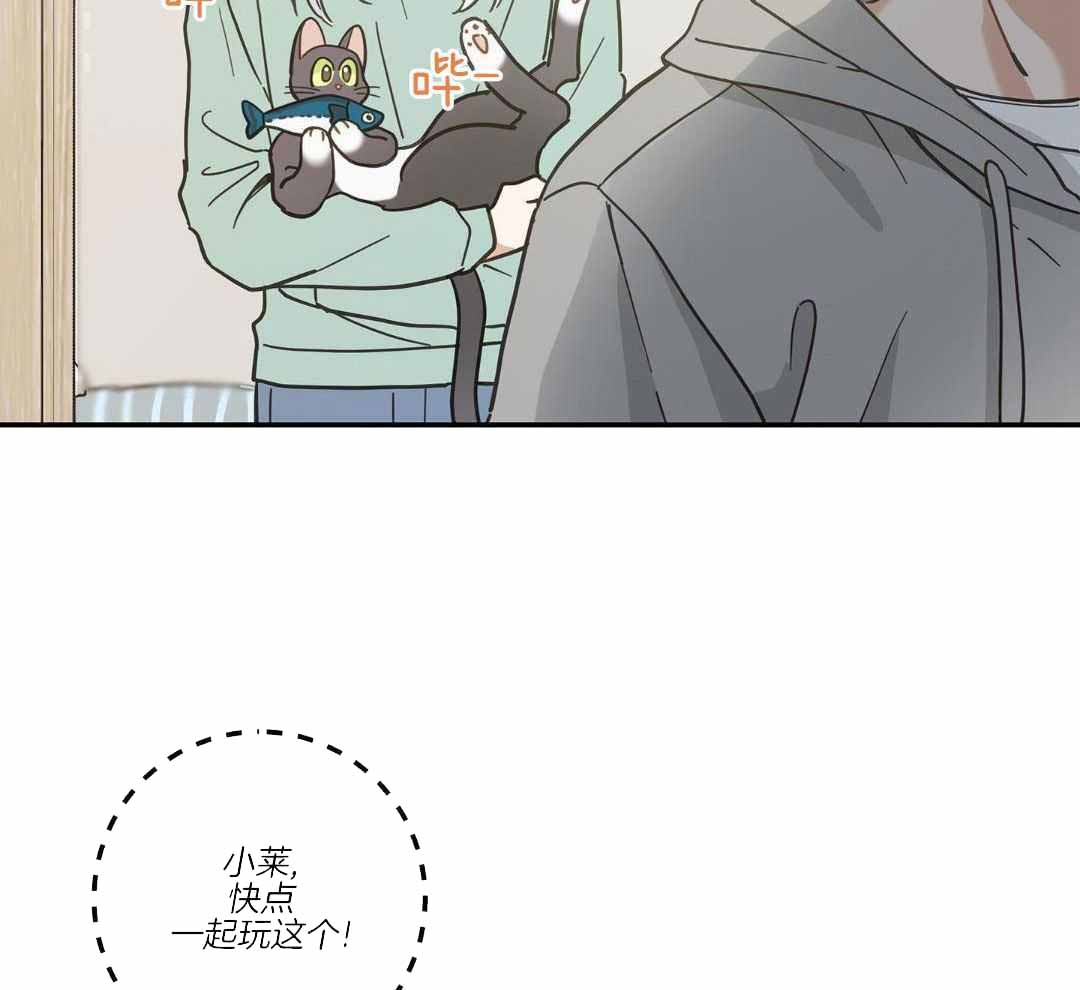 《我唯一的猫猫》漫画最新章节第48话免费下拉式在线观看章节第【33】张图片