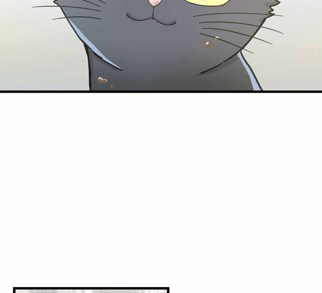 《我唯一的猫猫》漫画最新章节第33话免费下拉式在线观看章节第【26】张图片