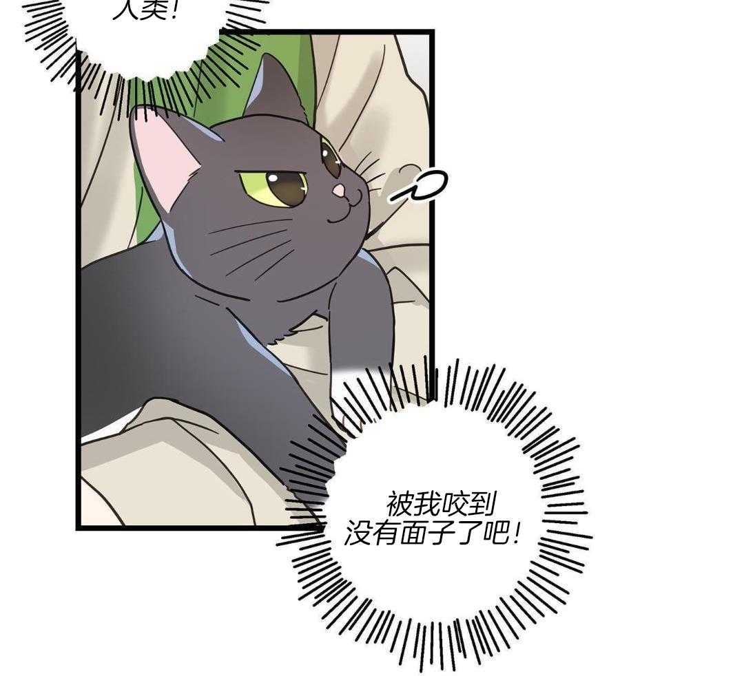 《我唯一的猫猫》漫画最新章节第43话免费下拉式在线观看章节第【35】张图片