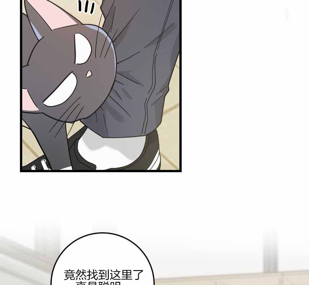 《我唯一的猫猫》漫画最新章节第47话免费下拉式在线观看章节第【10】张图片