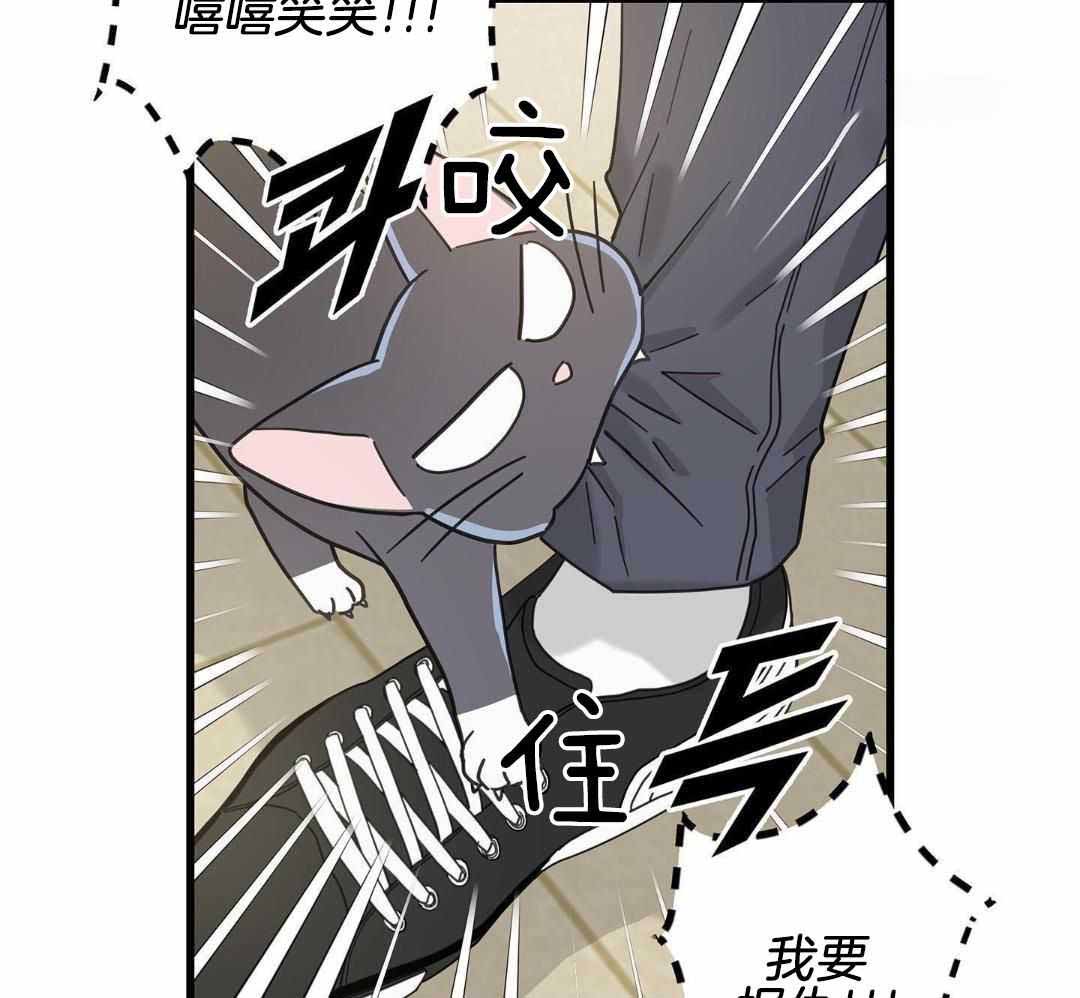 《我唯一的猫猫》漫画最新章节第47话免费下拉式在线观看章节第【7】张图片