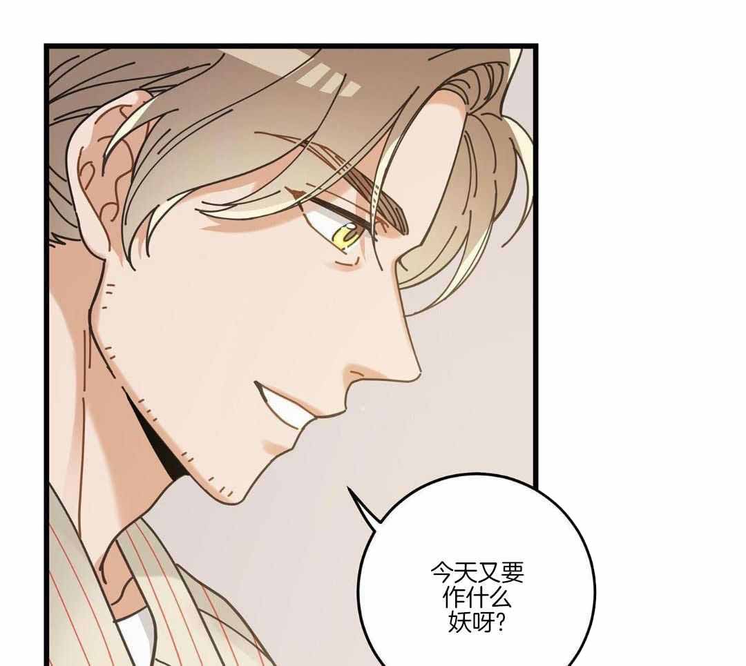 《我唯一的猫猫》漫画最新章节第58话免费下拉式在线观看章节第【31】张图片