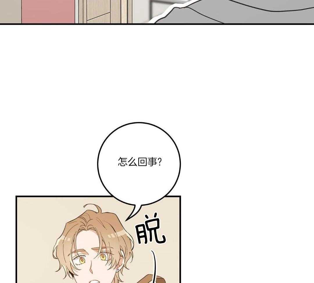 《我唯一的猫猫》漫画最新章节第47话免费下拉式在线观看章节第【65】张图片