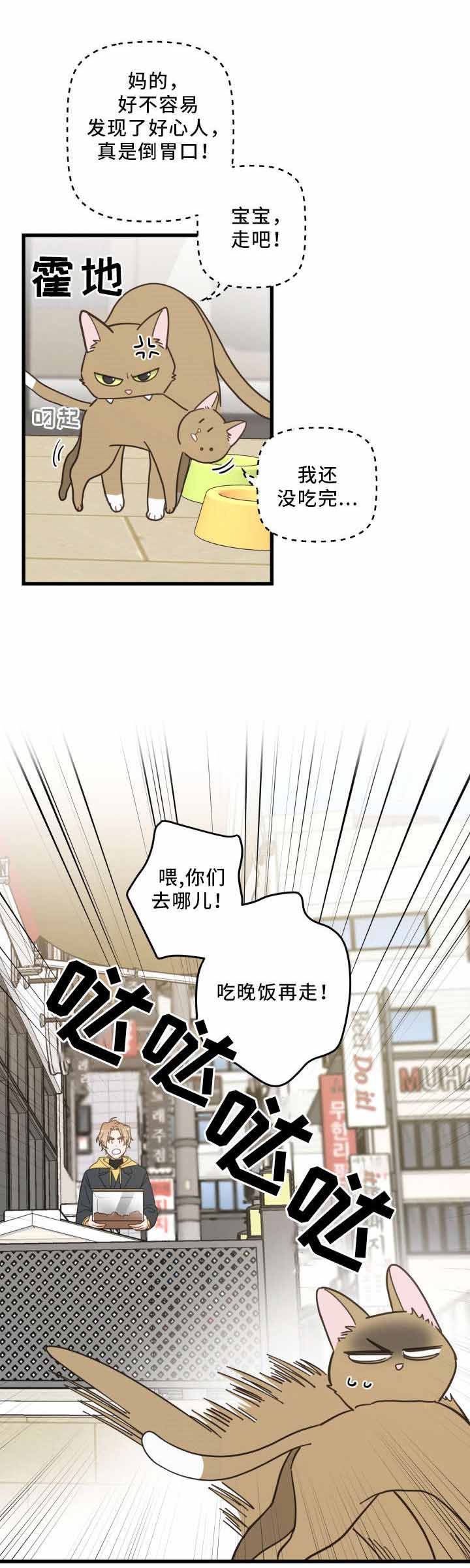 《我唯一的猫猫》漫画最新章节第24话免费下拉式在线观看章节第【12】张图片