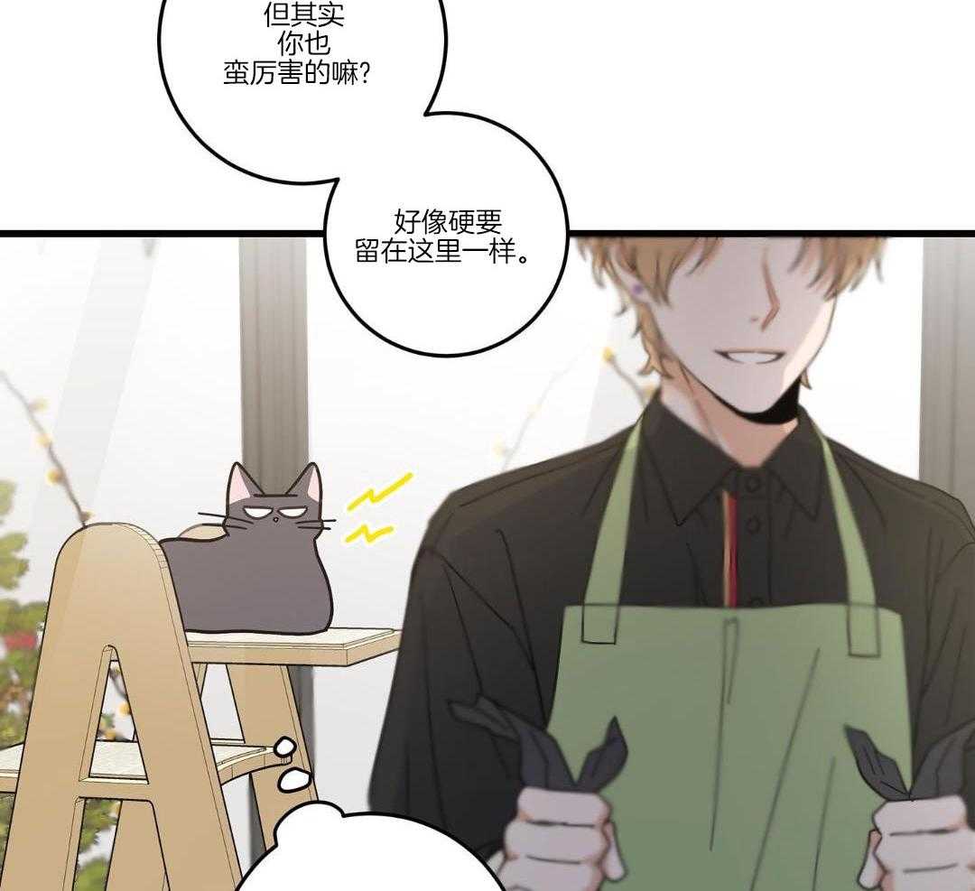 《我唯一的猫猫》漫画最新章节第37话免费下拉式在线观看章节第【42】张图片