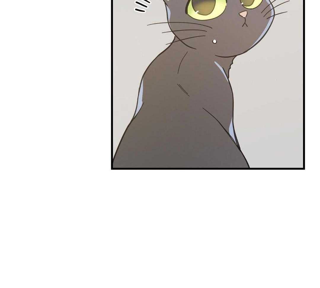 《我唯一的猫猫》漫画最新章节第53话免费下拉式在线观看章节第【37】张图片