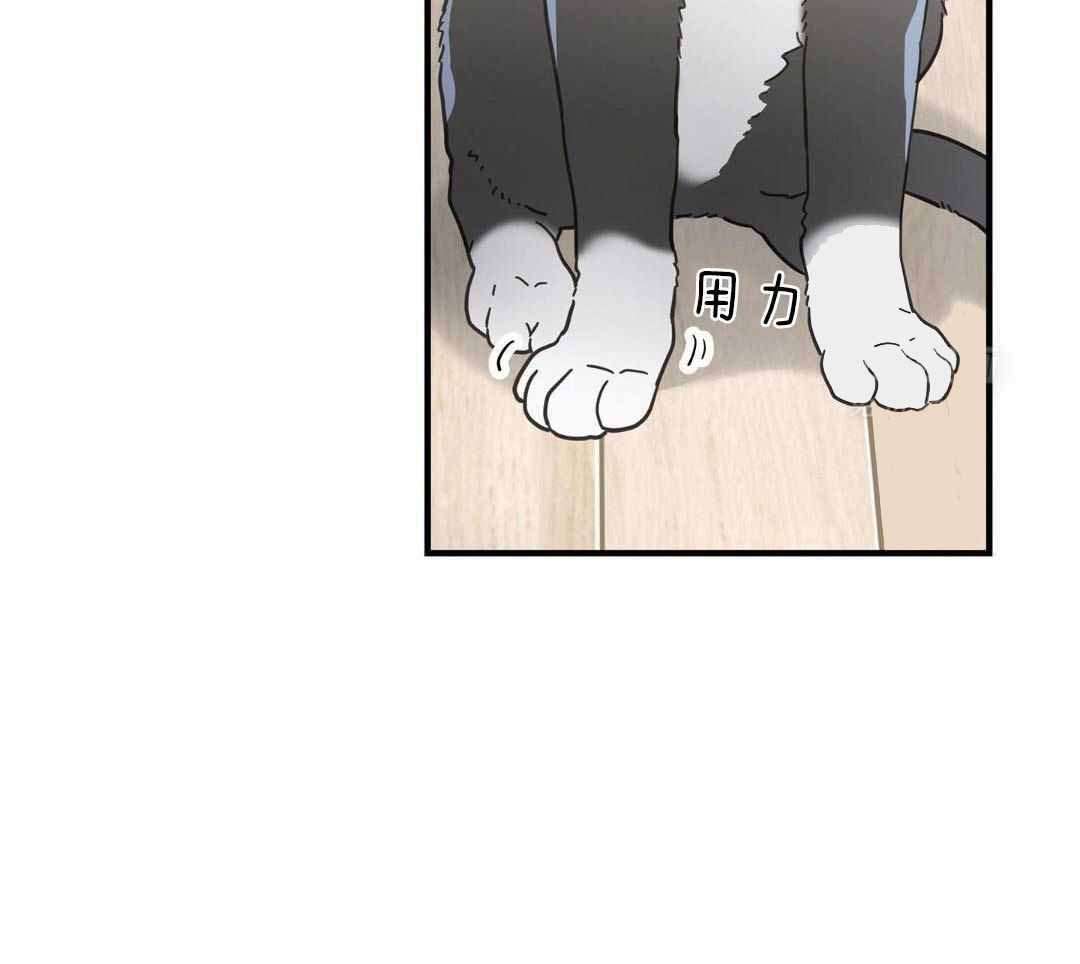 《我唯一的猫猫》漫画最新章节第56话免费下拉式在线观看章节第【31】张图片