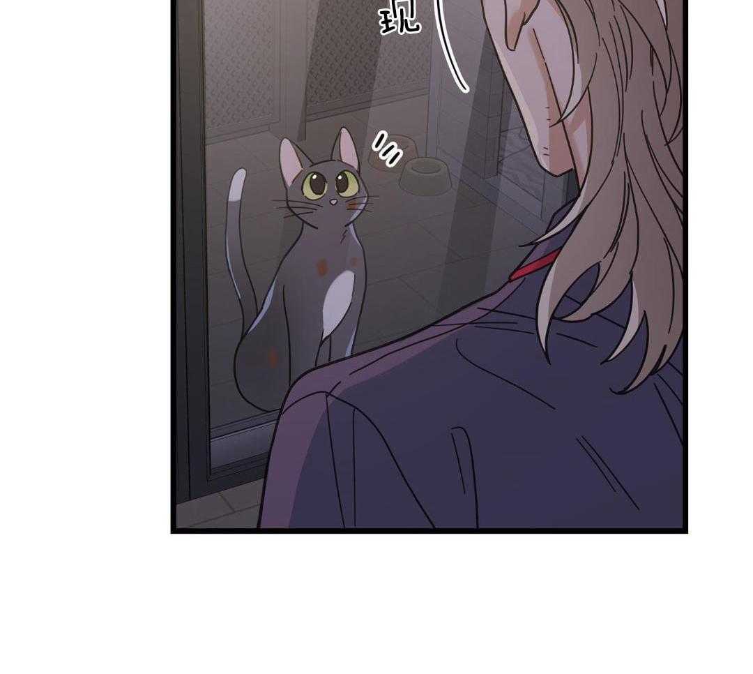 《我唯一的猫猫》漫画最新章节第36话免费下拉式在线观看章节第【34】张图片