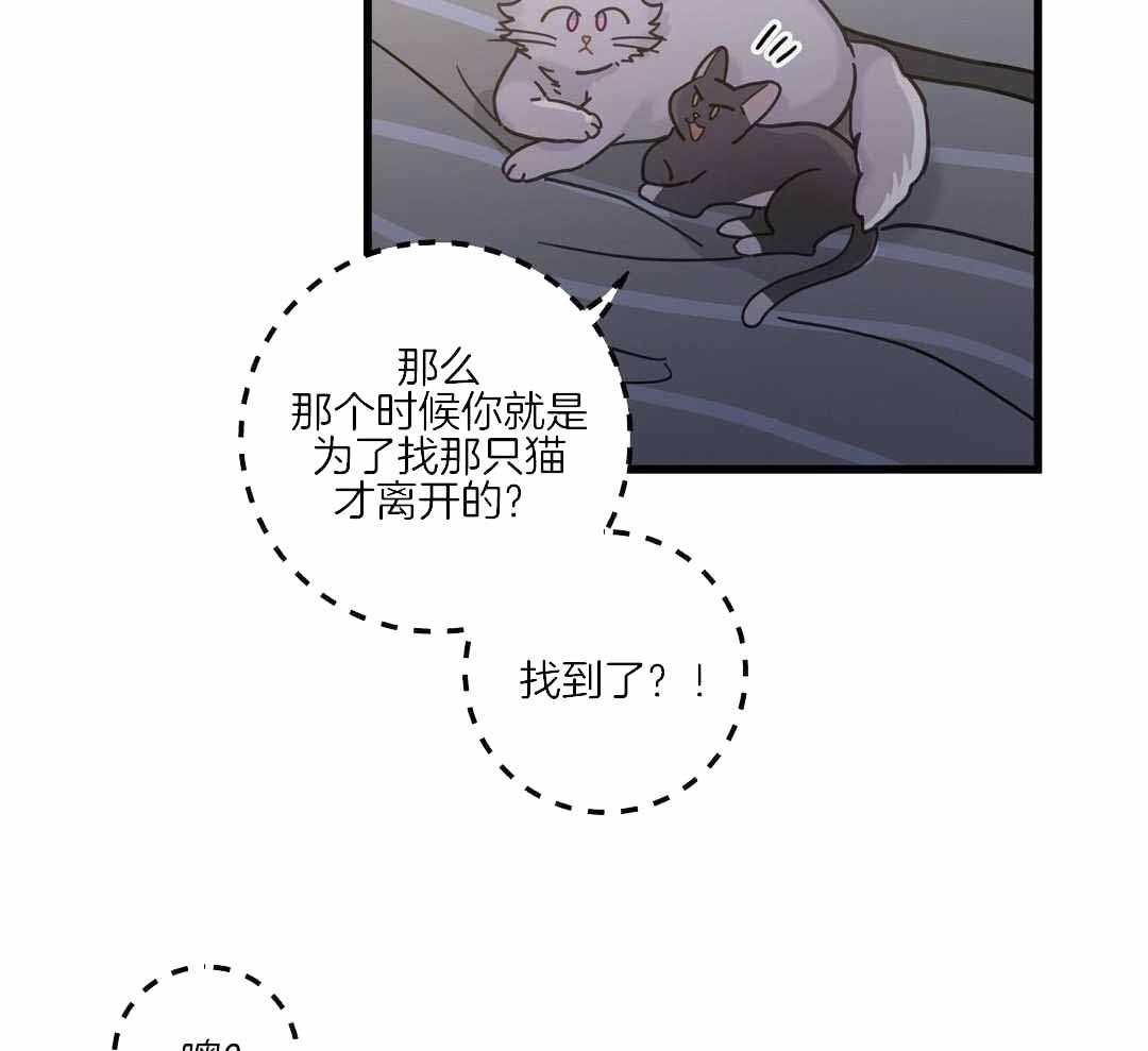 《我唯一的猫猫》漫画最新章节第42话免费下拉式在线观看章节第【14】张图片