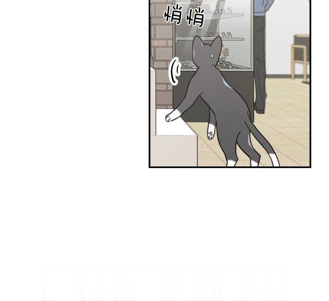 《我唯一的猫猫》漫画最新章节第47话免费下拉式在线观看章节第【38】张图片