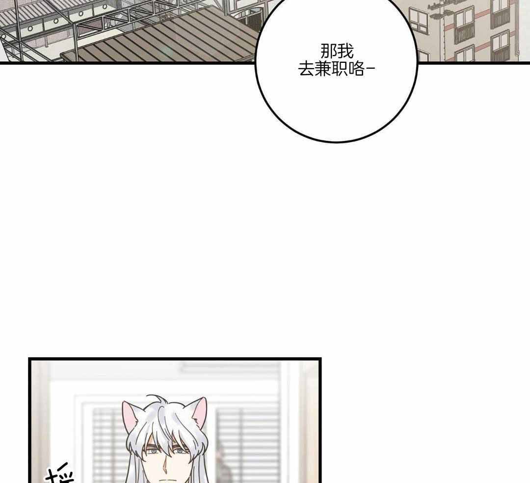 《我唯一的猫猫》漫画最新章节第54话免费下拉式在线观看章节第【6】张图片