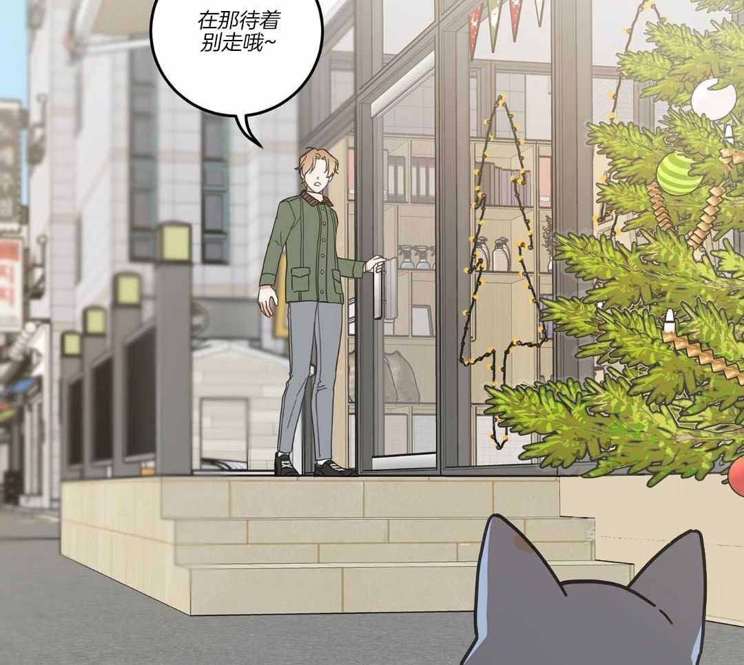 《我唯一的猫猫》漫画最新章节第33话免费下拉式在线观看章节第【3】张图片