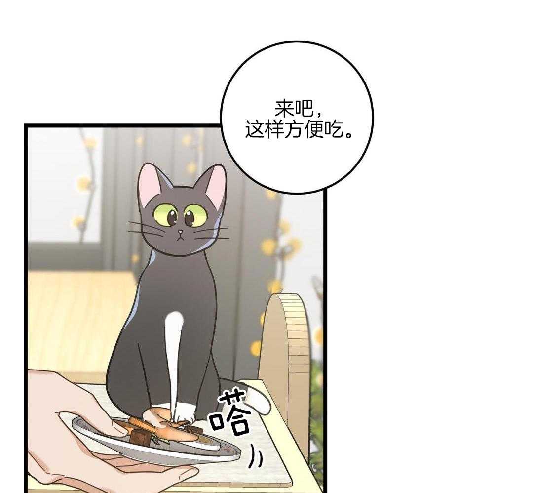 《我唯一的猫猫》漫画最新章节第47话免费下拉式在线观看章节第【15】张图片