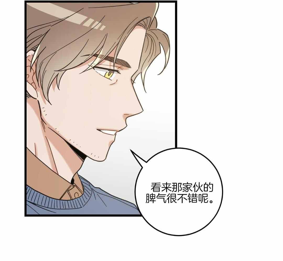 《我唯一的猫猫》漫画最新章节第46话免费下拉式在线观看章节第【34】张图片