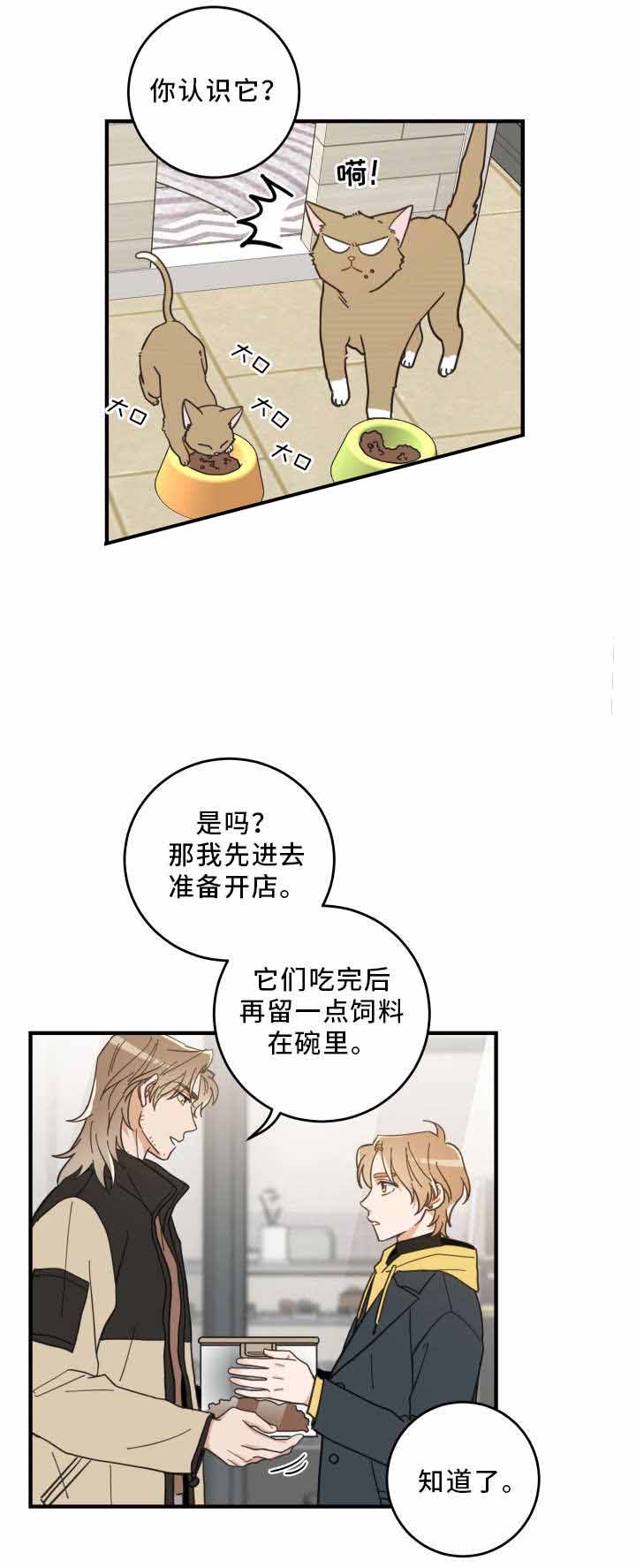 《我唯一的猫猫》漫画最新章节第24话免费下拉式在线观看章节第【8】张图片