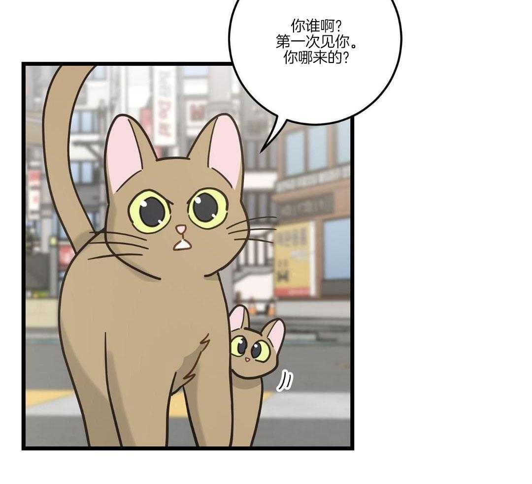 《我唯一的猫猫》漫画最新章节第33话免费下拉式在线观看章节第【30】张图片