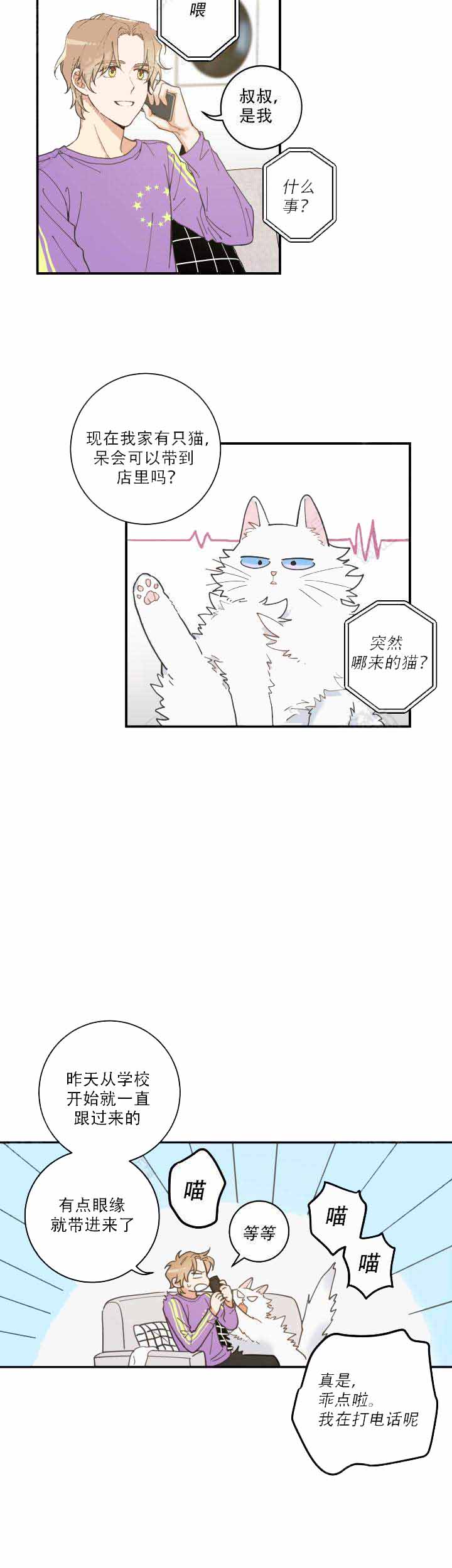 《我唯一的猫猫》漫画最新章节第6话免费下拉式在线观看章节第【12】张图片