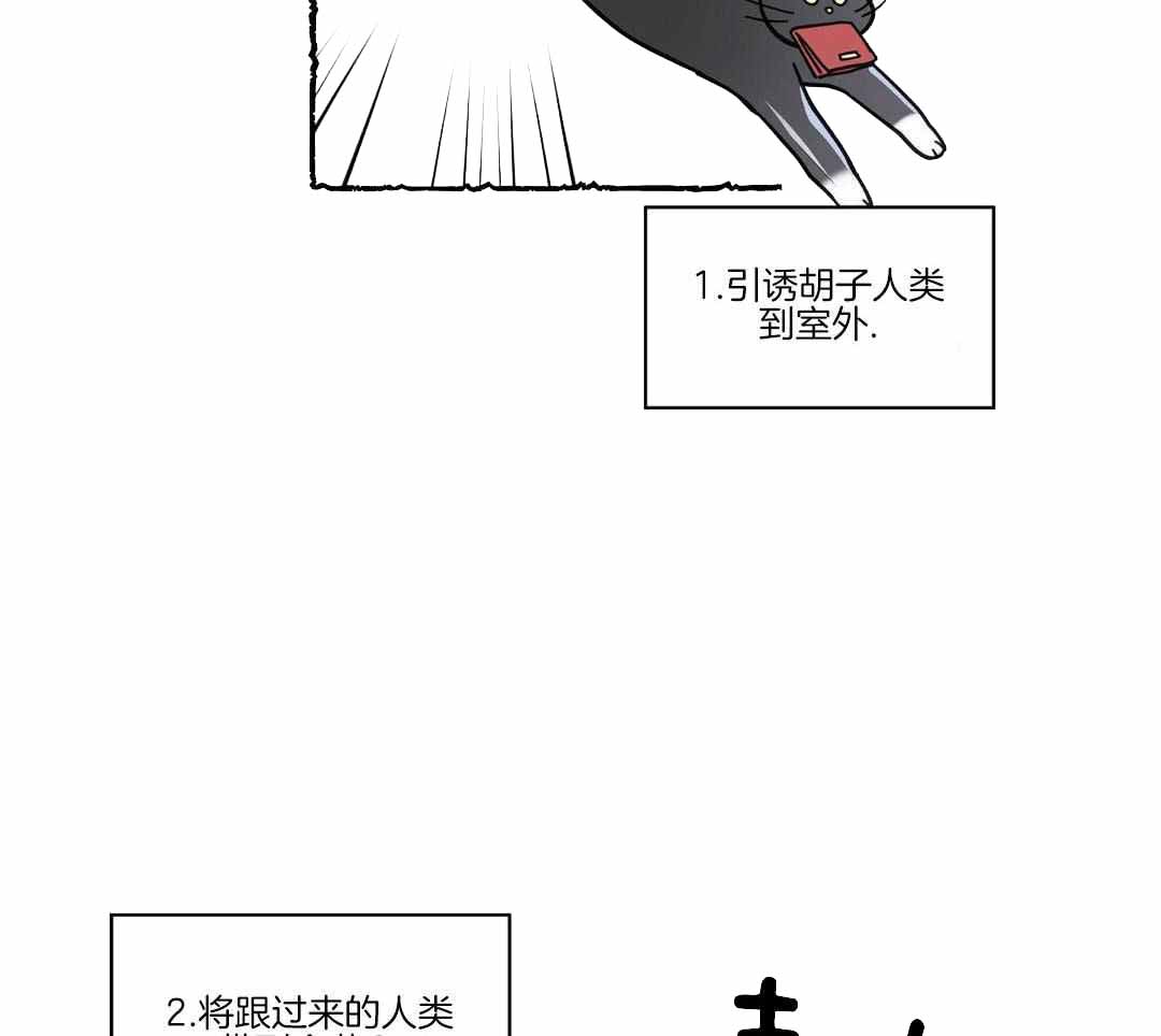 《我唯一的猫猫》漫画最新章节第56话免费下拉式在线观看章节第【33】张图片