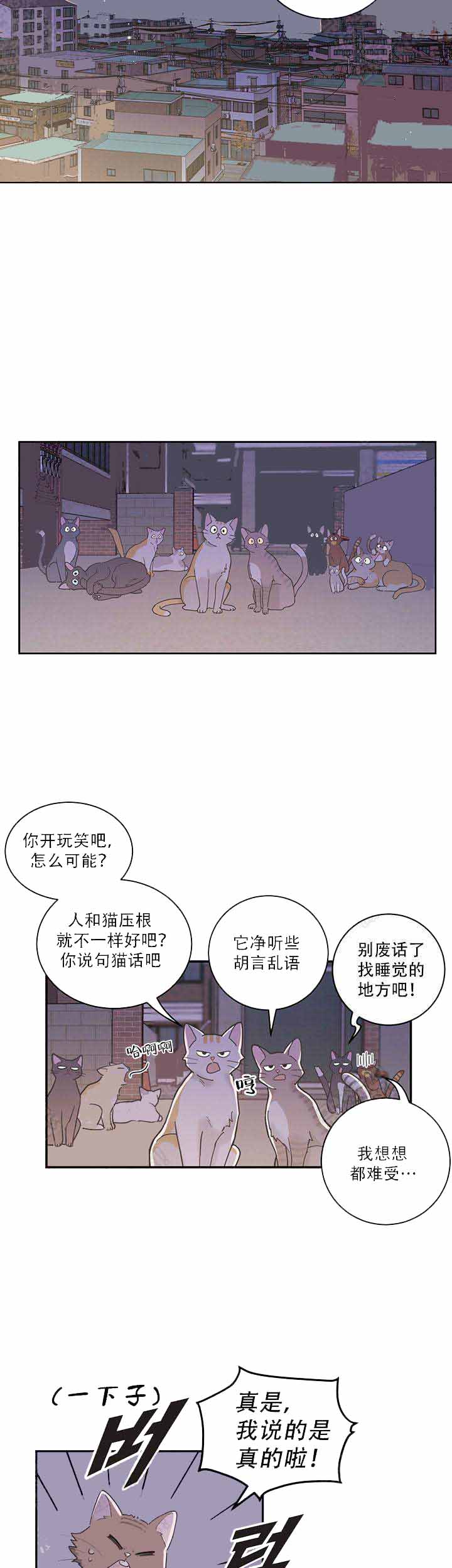 《我唯一的猫猫》漫画最新章节第1话免费下拉式在线观看章节第【2】张图片