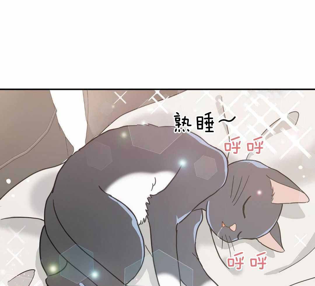 《我唯一的猫猫》漫画最新章节第50话免费下拉式在线观看章节第【30】张图片