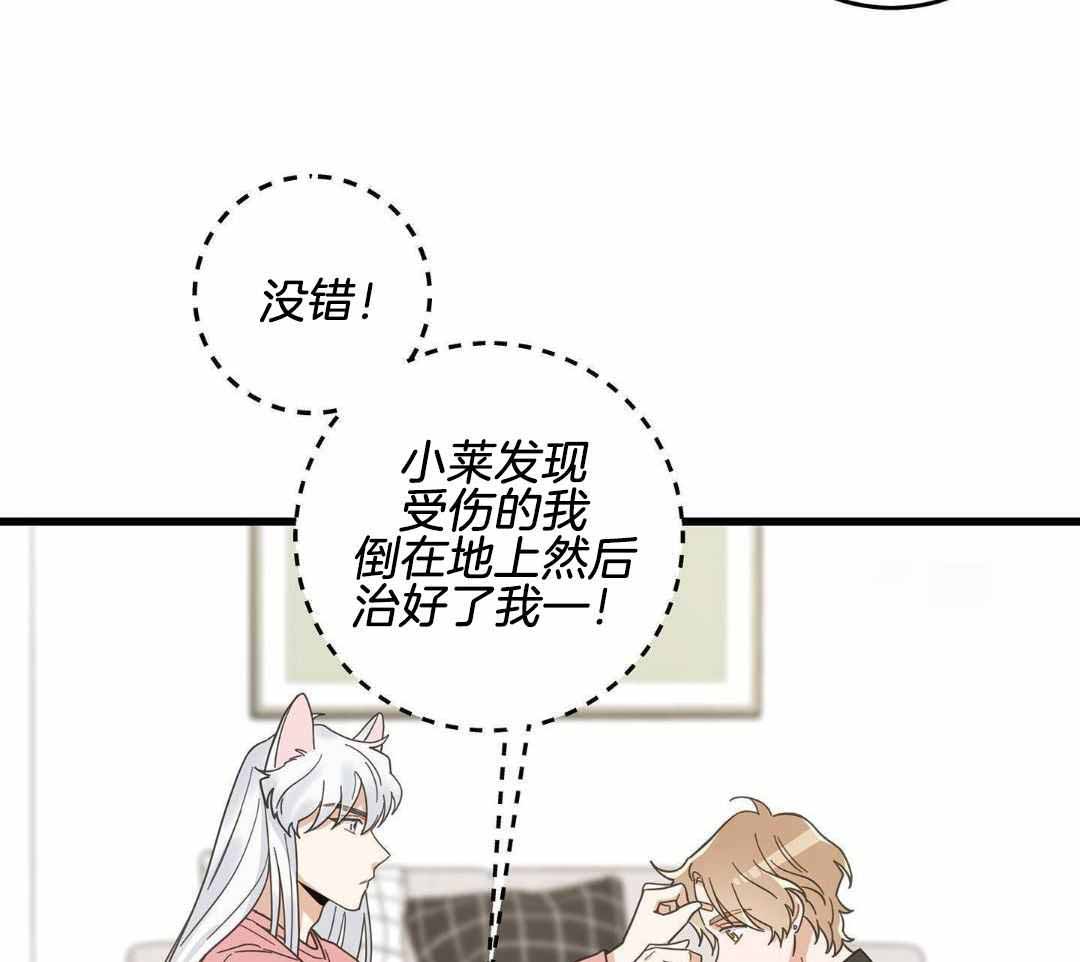 《我唯一的猫猫》漫画最新章节第40话免费下拉式在线观看章节第【4】张图片