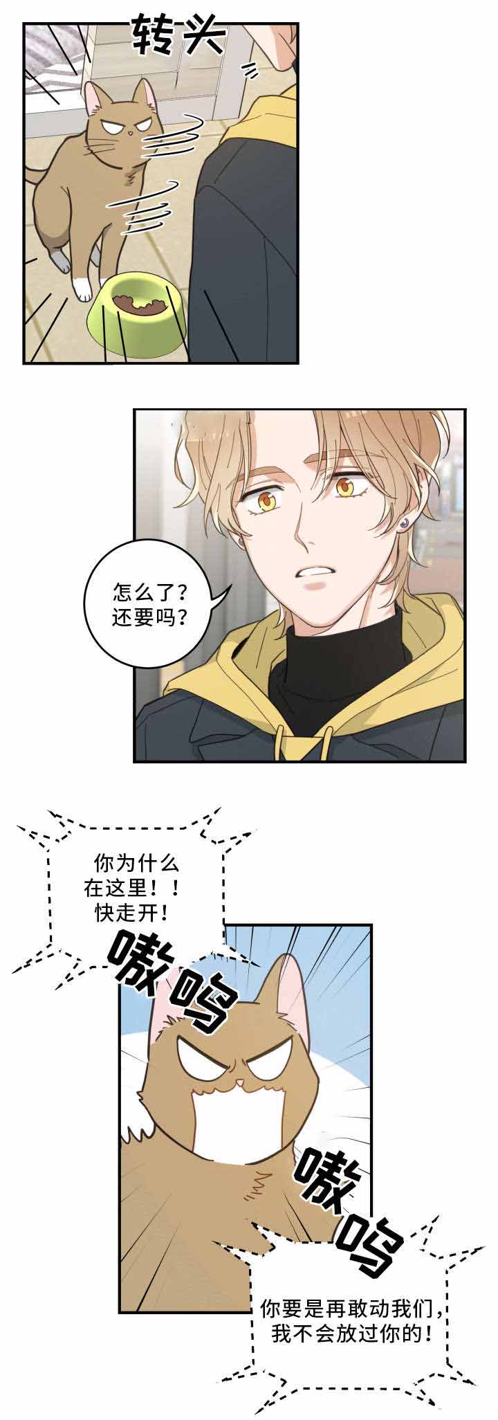 《我唯一的猫猫》漫画最新章节第24话免费下拉式在线观看章节第【10】张图片