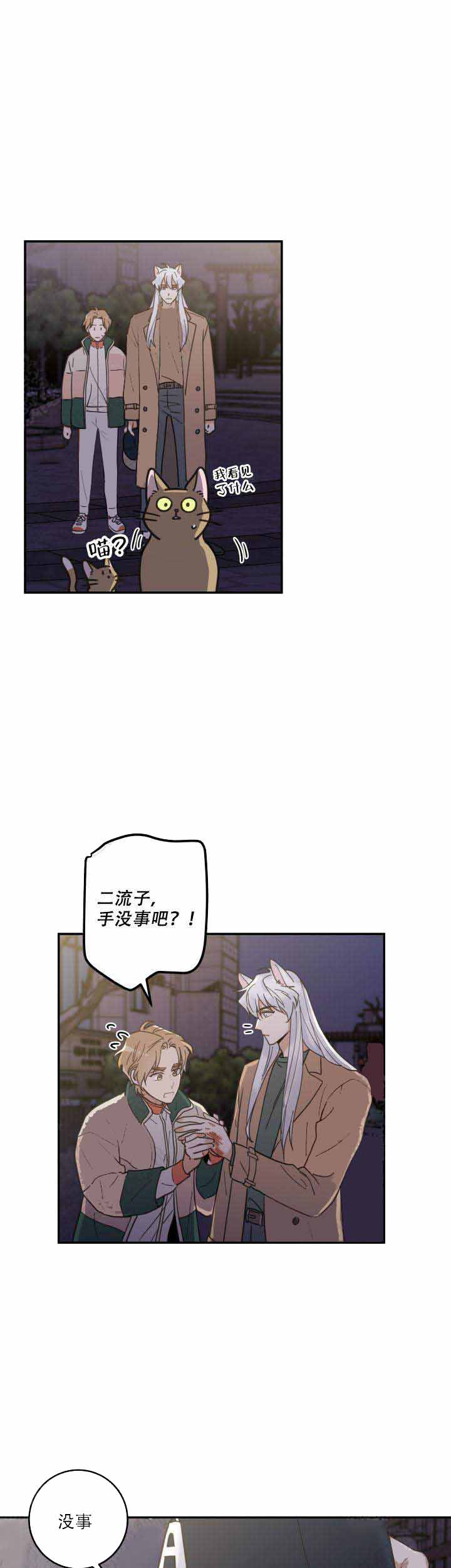 《我唯一的猫猫》漫画最新章节第18话免费下拉式在线观看章节第【5】张图片