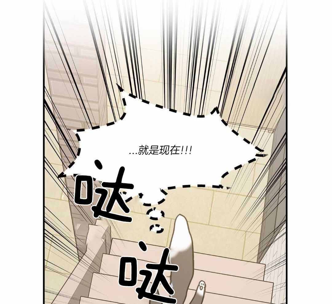 《我唯一的猫猫》漫画最新章节第47话免费下拉式在线观看章节第【39】张图片